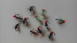 20160529_093027.jpg