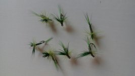 20160529_093538.jpg