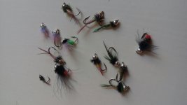 20160529_093613.jpg