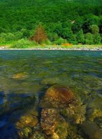 IMG_0774.jpg