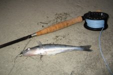 IMG_0009_cr.jpg
