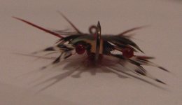 DSC03711.JPG