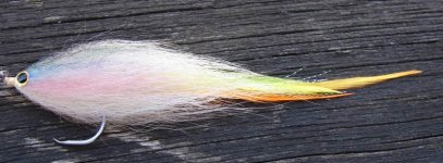 hollow flytwing.jpg