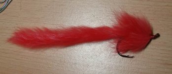 red zonker.jpg