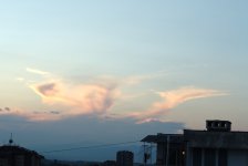 DSC03786.JPG