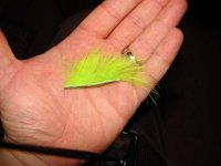fl. chartreuse zonker trakica.jpg