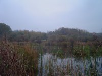 DSC08046_resize.JPG