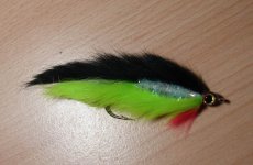 black n' chartreuse.jpg