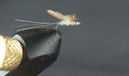 DSC04123.JPG
