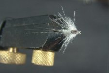 DSC04130.JPG