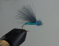 DSC04224.JPG