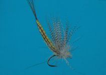 DSC04281.JPG