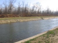 Rasina (Medium).jpg