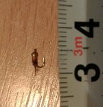 IMAG0723_1.jpg