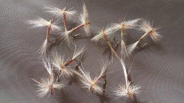 20160828_103947.jpg