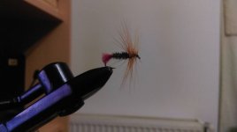 IMAG0541_BURST001.jpg