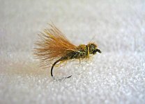 cdc muve 003ll.jpg