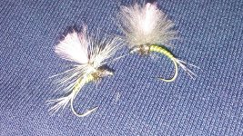 20161224_162604.jpg