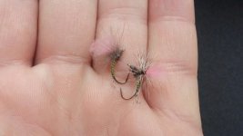 20161225_121649.jpg