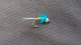 20170101_104831.jpg