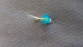 20170101_104929.jpg