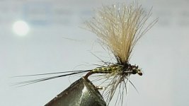 image-0-02-05-66c6f0b450841f4bcb53c079b652544dfb1ef1475be52737c04ebd9442f0f683-V.jpg