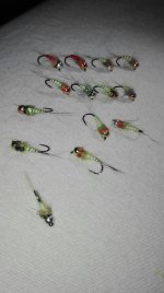 IMG_20170105_203105-1168x2080.jpg