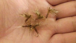 20170109_231521.jpg