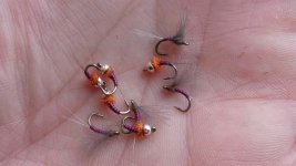 20170114_114557.jpg