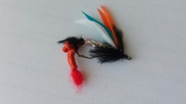 20170119_120056.jpg