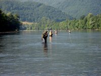 img_3022.jpg