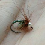20170219_075938.jpg