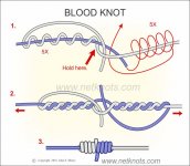 blood-knot.jpg