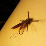 20170326_015519.jpg