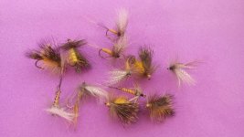 20170327_085516.jpg