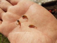 20170401_141434.jpg