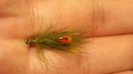 20170405_200658.jpg