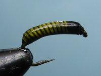 IMG_4561.JPG