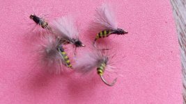 20171008_172201-1024x577.jpg