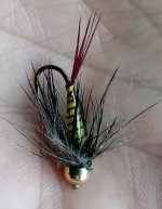 20171110_143436_crop_487x624.jpg