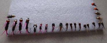 DSCF8828.JPG