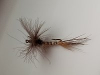 20180407_125859-1600x1200.jpg