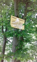 rsz_img_20180510_162744.jpg