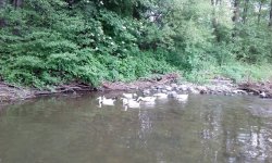 rsz_img_20180510_173417.jpg