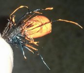 20180613_195403-1-1-1.jpg