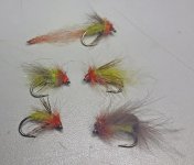 20181002_230725.jpg