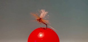 26E9D8A5-970D-4048-9A1E-A5F2ADF322E6.jpeg