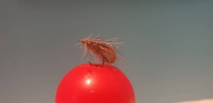 7704EE2B-0B67-4795-BBE4-D46673B807AD.jpeg
