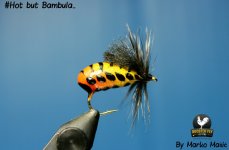 Hot but Bambula..jpg