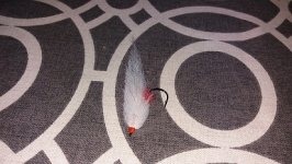 20191008_162127.jpg